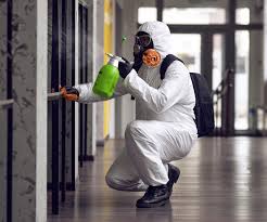 Why You Should Choose Our Mold Remediation Services in Fort Lauderdale, FL